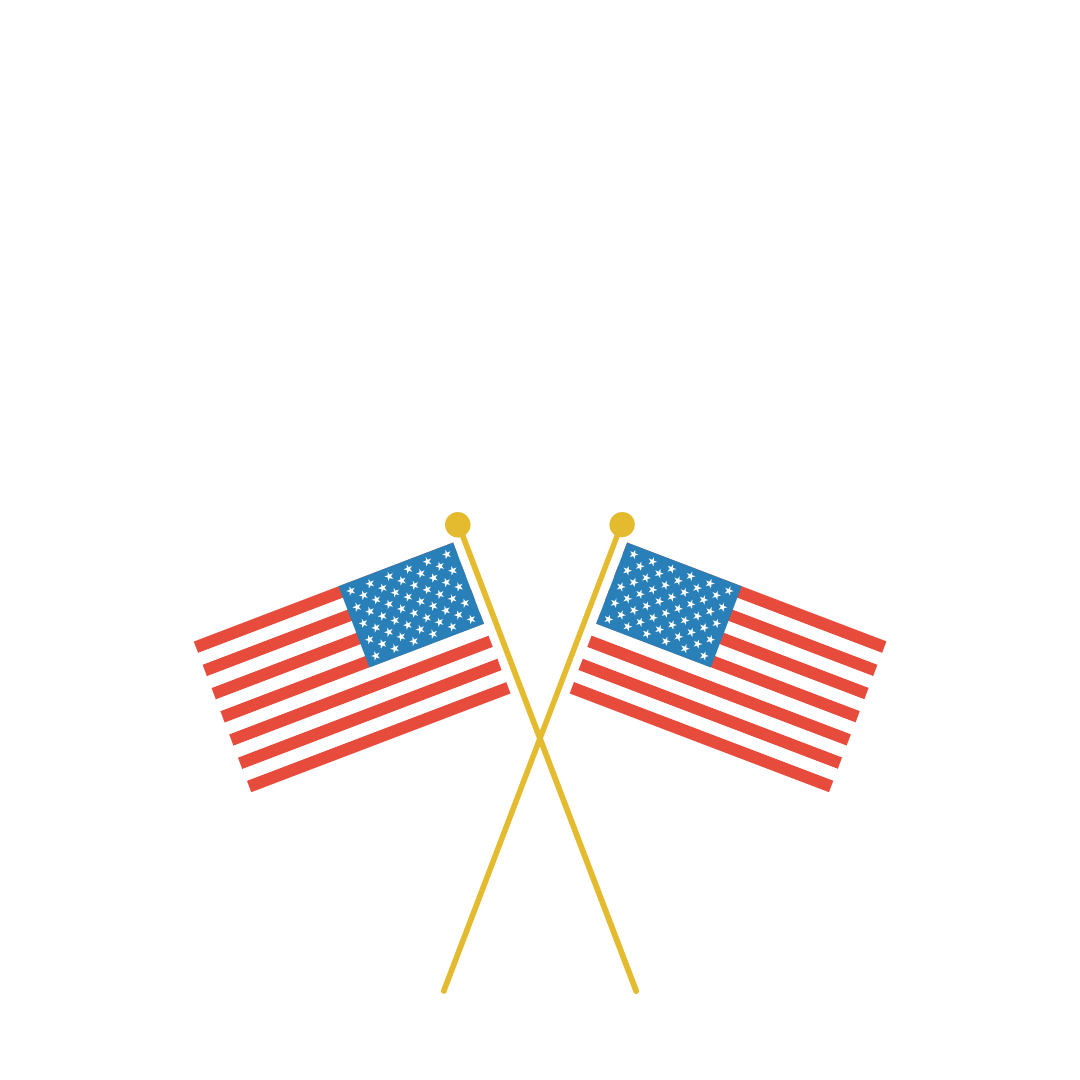 2 American Flags